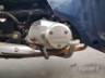 2022 HONDA BIZ 