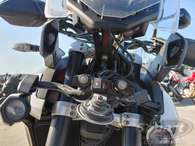 2024 TRIUMPH TIGER 
