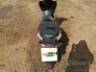 2025 HONDA BIZ 125 