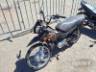 2013 HONDA POP 100 