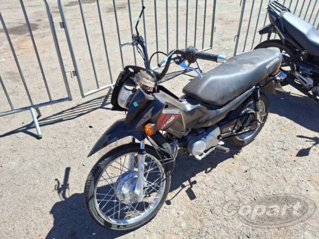2013 HONDA POP 100 