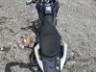 2017 HONDA XRE 190 