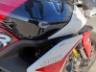 2024 TRIUMPH TIGER 