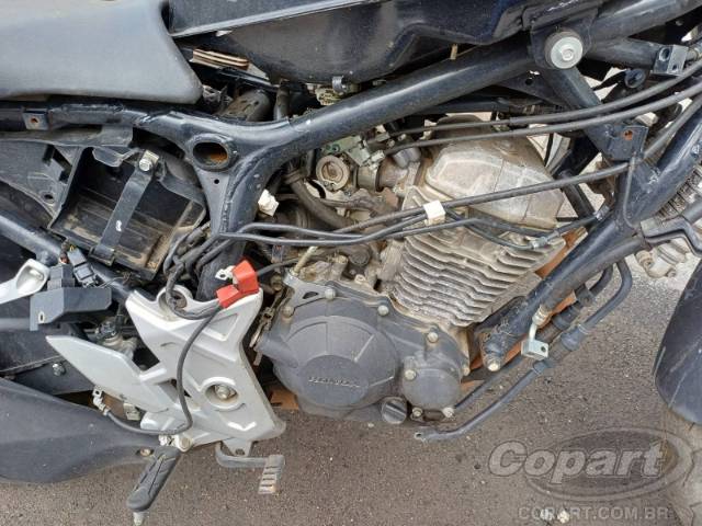 2023 HONDA CB 300F 