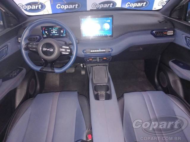 2025 BYD DOLPHIN MINI 