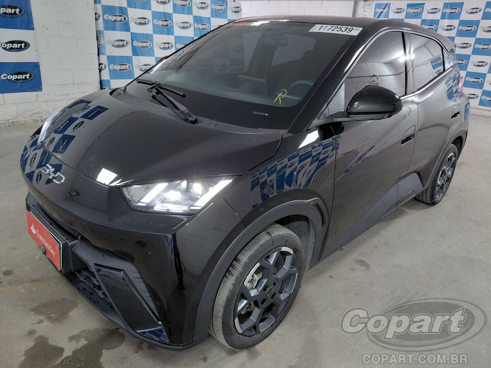 Foto 2: 2027 BYD DOLPHIN MINI