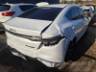 2025 BYD KING 