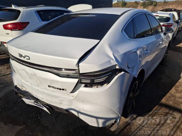 2025 BYD KING 