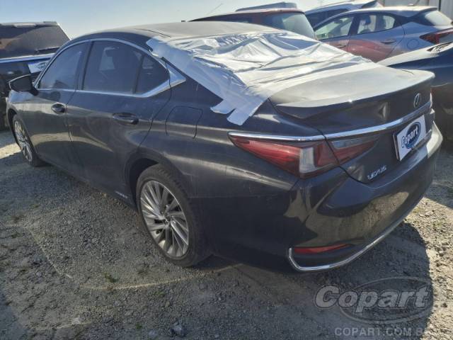 2019 LEXUS ES 