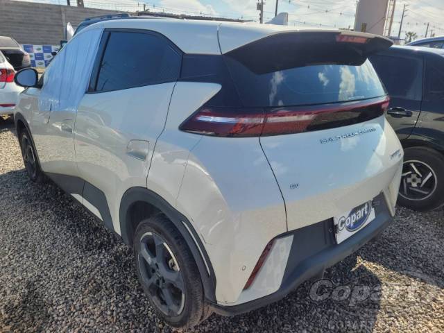 2025 BYD DOLPHIN MINI 
