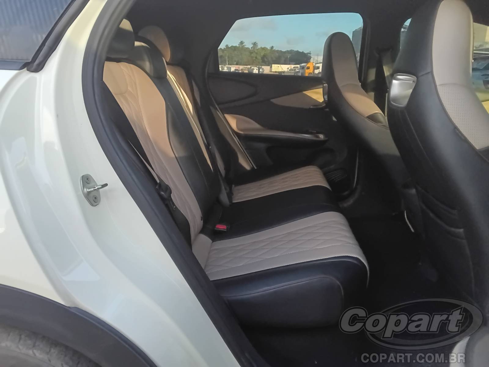 2026 BYD DOLPHIN — foto 6 de 10