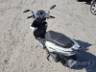 2020 HONDA ELITE 