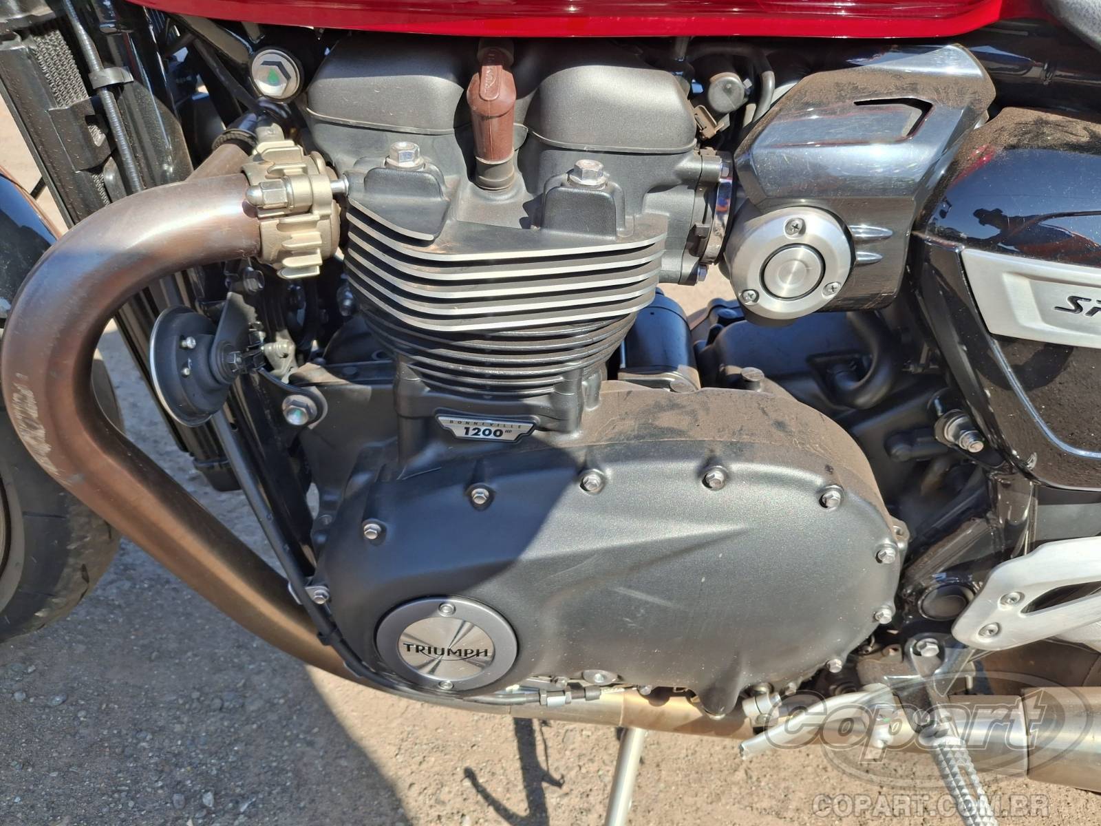 Foto 5: 2023 TRIUMPH SPEED TWIN