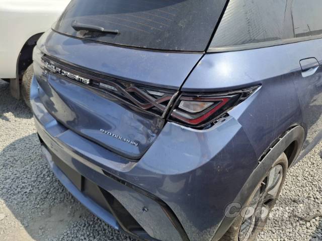 2025 BYD DOLPHIN 