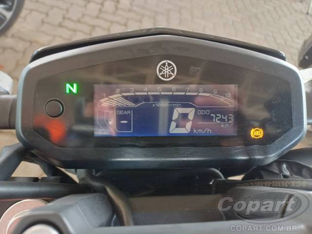 2025 YAMAHA FZ15 