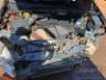 2008 FIAT PUNTO 