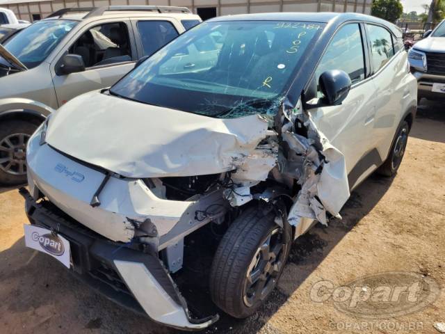 2025 BYD DOLPHIN MINI 