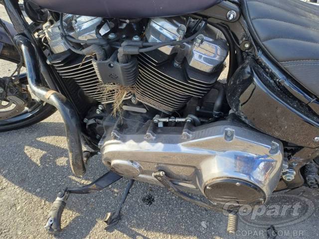 2025 HARLEY-DAVIDSON SOFTAIL 