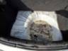 2007 RENAULT CLIO 