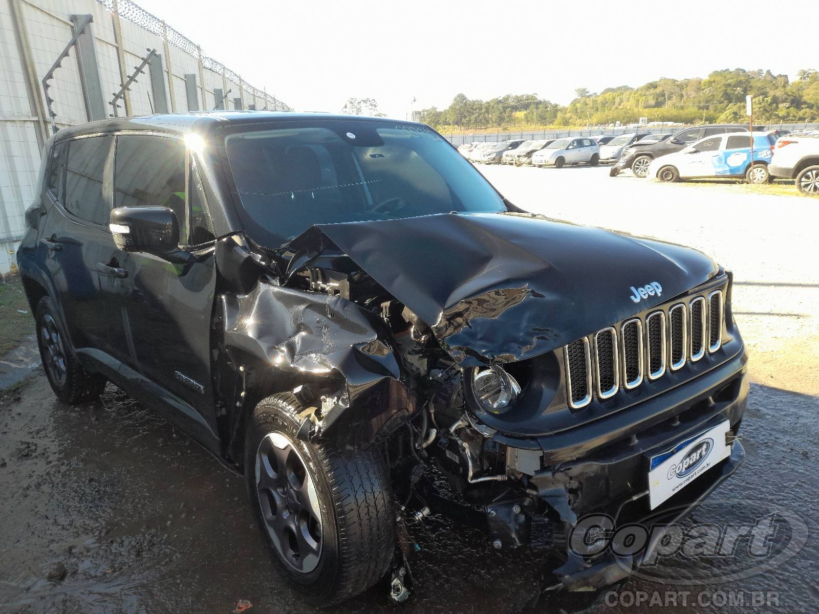 Veículo Fiat Renegade JEEP RENEGADE 1.8 16V E.TORQ EVO 2017 2017 em leilão