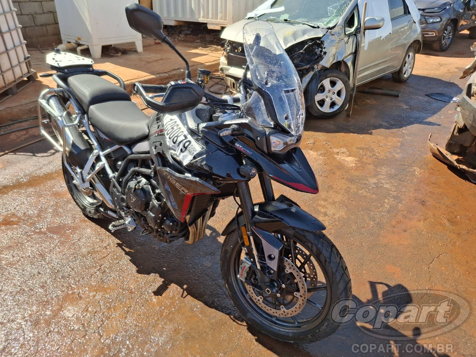 Triumph Tiger 900 GT PRO 2026