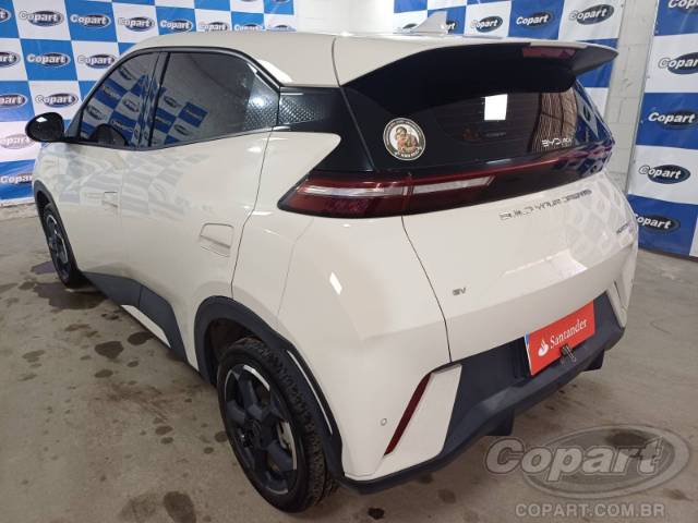 2025 BYD DOLPHIN MINI 