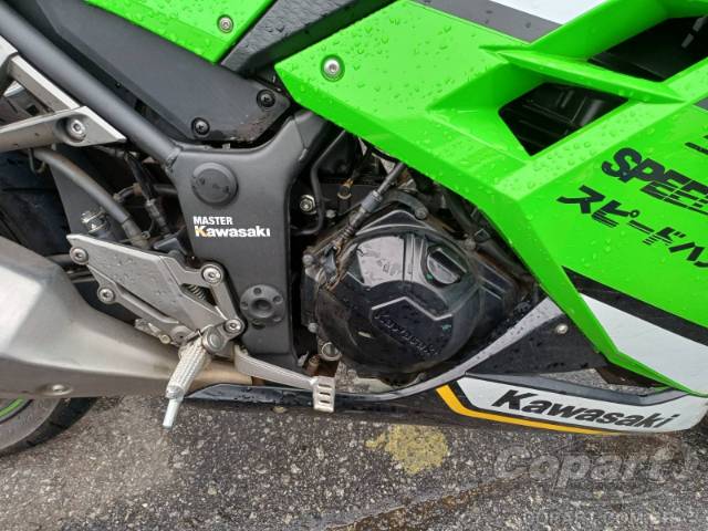 2026 KAWASAKI NINJA 300 