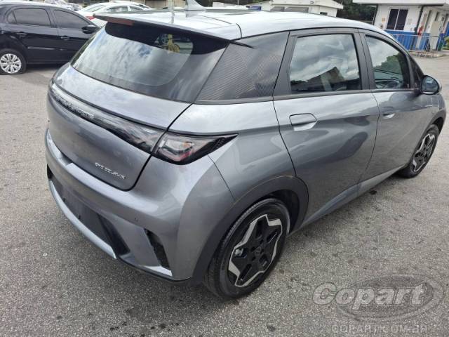 2024 BYD DOLPHIN 