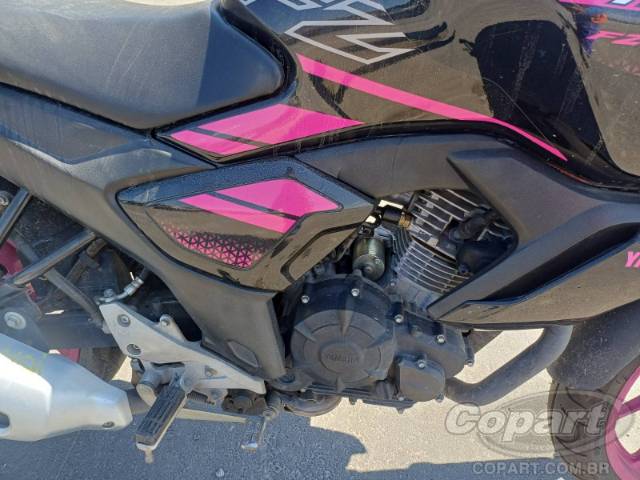 2024 YAMAHA FZ15 