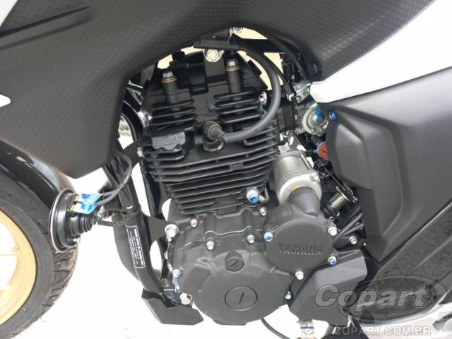 2025 YAMAHA FZ25 FAZER 