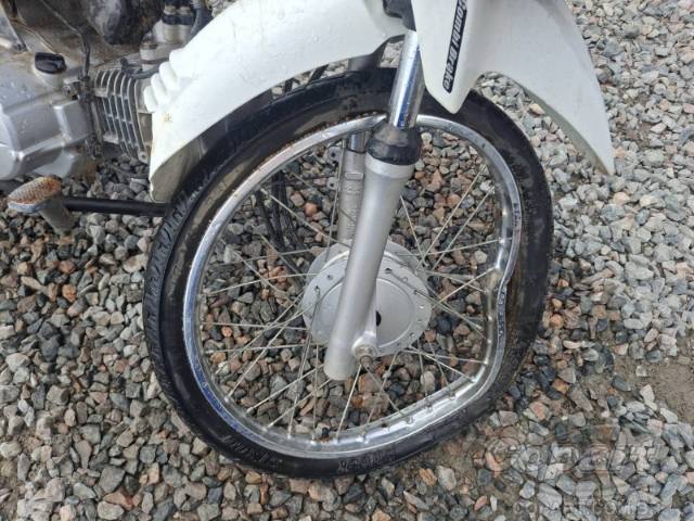 2019 HONDA POP 