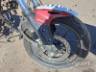 2025 HONDA CB 300F 