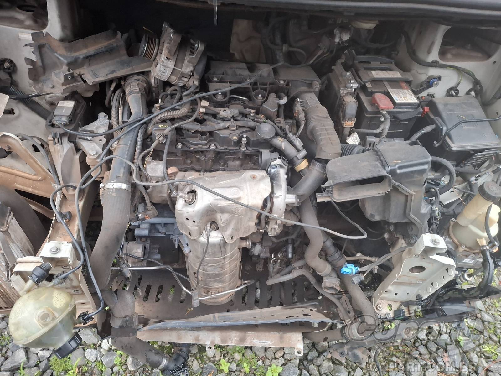 Foto 7 de 11: 2024 FIAT SCUDO