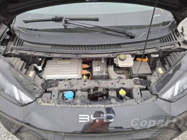 2025 BYD DOLPHIN MINI 