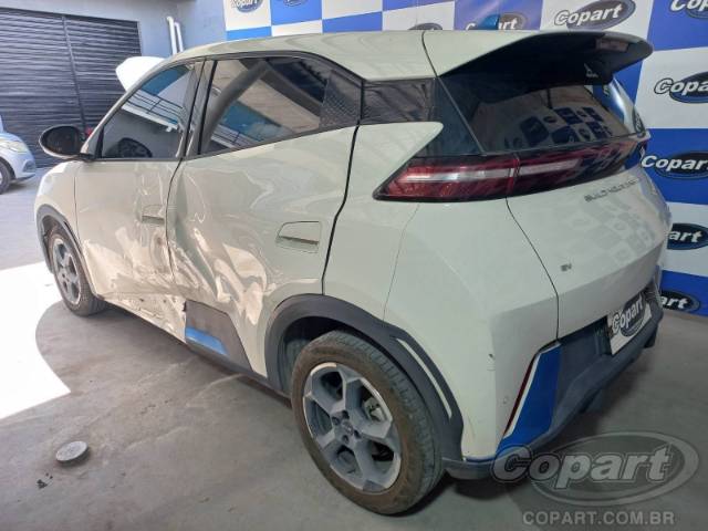 2025 BYD DOLPHIN MINI 