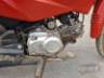 2025 HONDA POP 