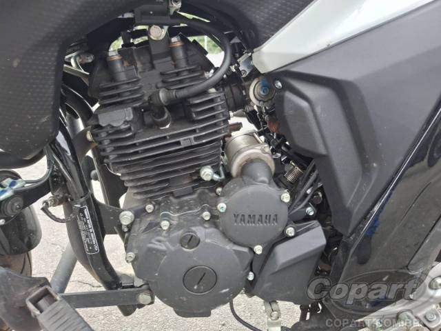 2025 YAMAHA FZ25 FAZER 