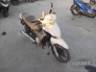 2024 HONDA BIZ 
