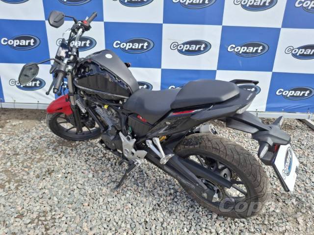 2024 HONDA CB 300F 