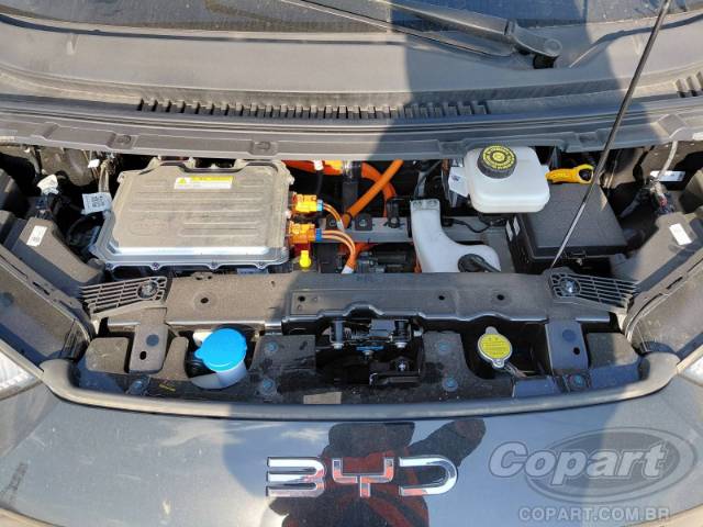 2026 BYD DOLPHIN MINI 