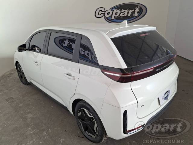2023 BYD D1 