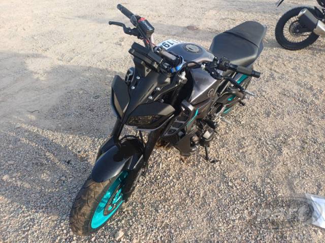 2025 YAMAHA MT-09 
