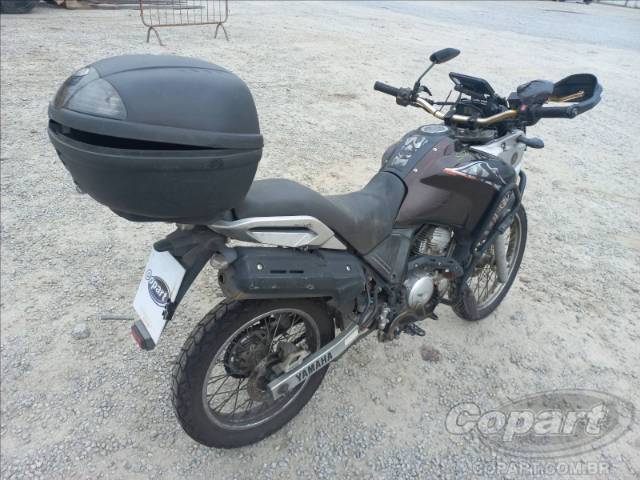 2019 YAMAHA XTZ 250 
