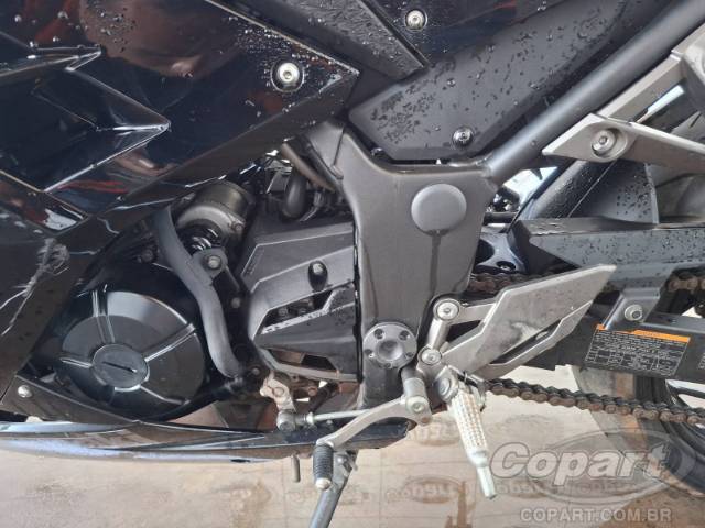 2023 KAWASAKI NINJA 300 