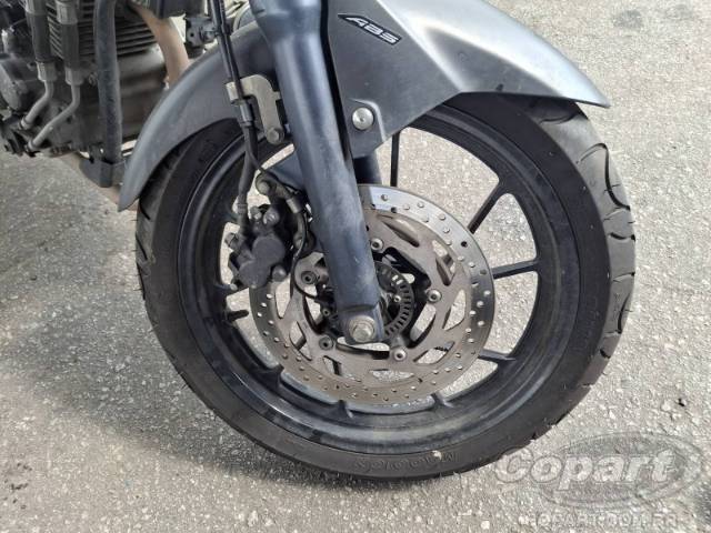 2024 YAMAHA FZ25 FAZER 