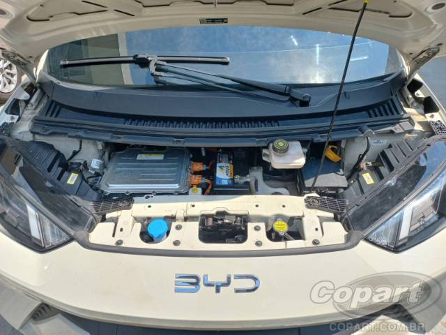 2025 BYD DOLPHIN MINI 