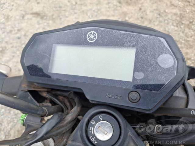 2024 YAMAHA FZ25 FAZER 