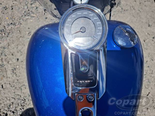 2025 HARLEY-DAVIDSON SOFTAIL 
