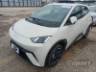 2026 BYD DOLPHIN MINI 