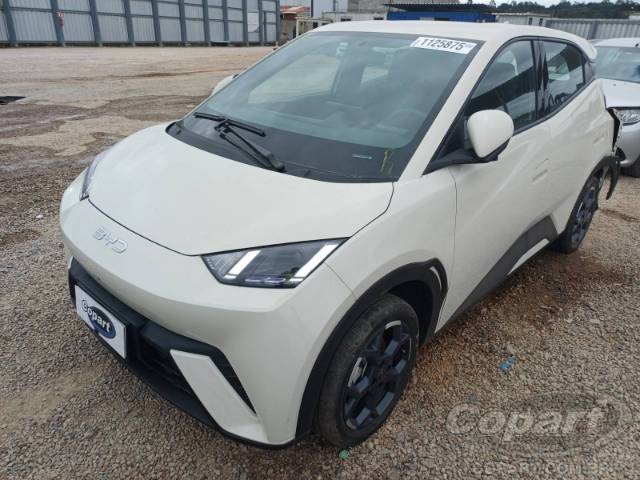 2026 BYD DOLPHIN MINI 